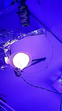 Snapshot of gurlnips chatting on 09/26/25, 09:57 gurlnips online show from 09/26/25, 09:57