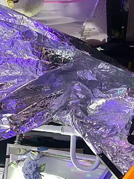 Snapshot of gurlnips chatting on 10/08/25, 06:05 gurlnips online show from 10/08/25, 06:05