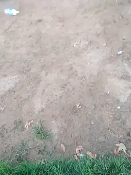 KINGJACKOFF online show from 12/26/24, 03:27