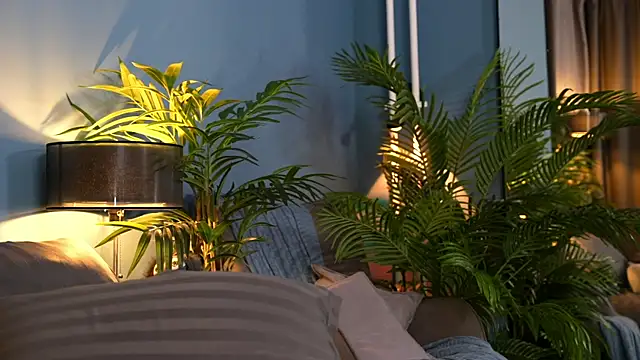 Snapshot of _keeti_ chatting on 10/10/25, 06:01  keeti  online show from 10/10/25, 06:01