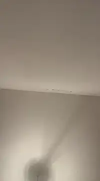 Snapshot of petan33 chatting on 12/18/24, 07:41 petan33 online show from 12/18/24, 07:41