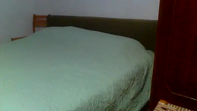 Snapshot of petan33 chatting on 09/11/25, 06:41 petan33 online show from 09/11/25, 06:41