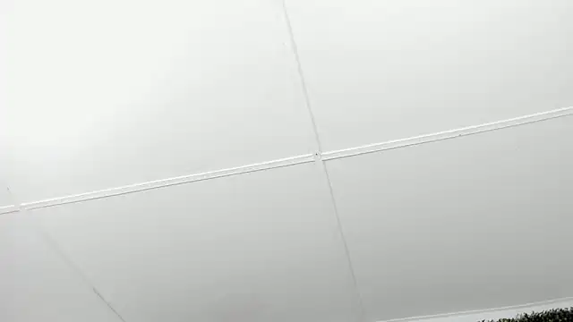 valentina 0  online show from 12/04/25, 03:49