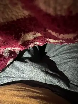 Snapshot of nikindian2024 chatting on 01/28/25, 04:30 nikindian2024 online show from 01/28/25, 04:30