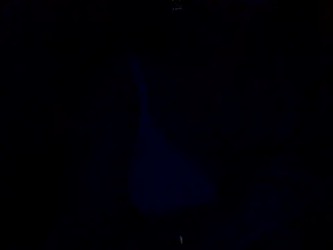 sanam rose online show from 01/02/25, 12:03