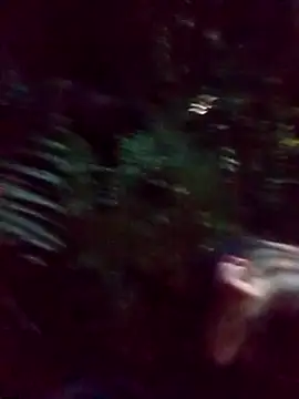 Snapshot of mis312 chatting on 03/05/25, 02:36 mis312 online show from 03/05/25, 02:36