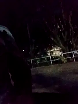 Snapshot of mis312 chatting on 09/09/25, 03:06 mis312 online show from 09/09/25, 03:06