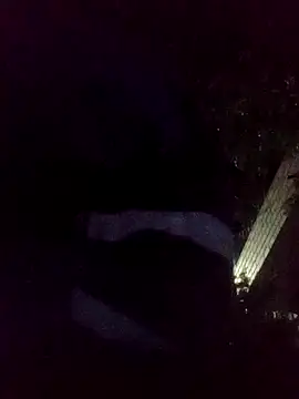 Snapshot of mis312 chatting on 11/18/25, 06:40 mis312 online show from 11/18/25, 06:40