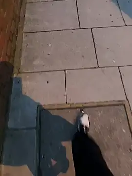 Snapshot of XMenX24 chatting on 03/22/25, 06:36 XMenX24 online show from 03/22/25, 06:36