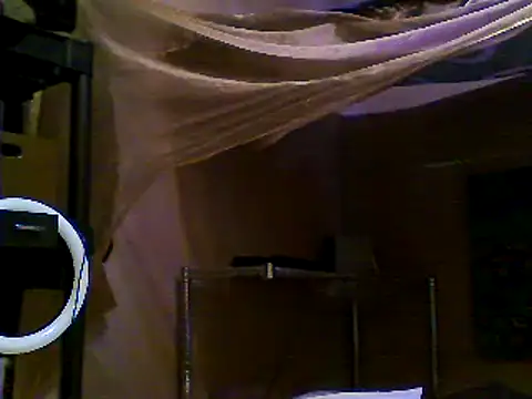 Snapshot of JdLove1 chatting on 12/31/24, 07:40 JdLove1 online show from 12/31/24, 07:40