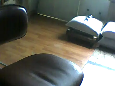 cibersexo1 online show from 06/07/26, 06:22