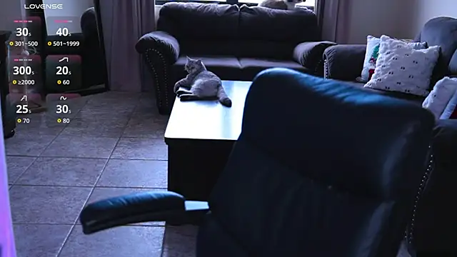 Naughty-Kitty1 online show from 07/07/26, 06:23