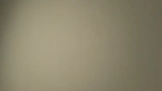 Sophia Cambpell online show from 06/05/26, 10:37