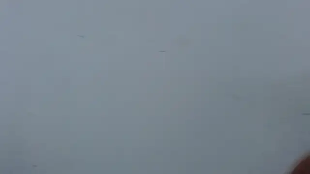 nicol f online show from 03/05/26, 03:02