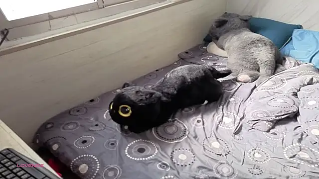 Big19Asia online show from 09/18/25, 01:18