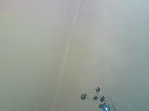 Snapshot of PocoLoco420 chatting on 02/01/26, 11:25 PocoLoco420 online show from 02/01/26, 11:25