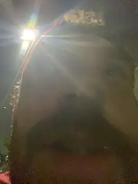PocoLoco420 online show from 06/25/26, 01:05