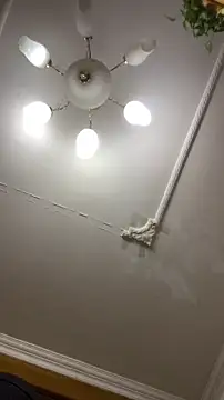 Snapshot of shuai321 chatting on 12/15/24, 01:43 shuai321 online show from 12/15/24, 01:43