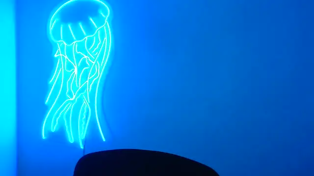 Snapshot of Fantasy_July chatting on 03/17/25, 09:33 Fantasy July online show from 03/17/25, 09:33