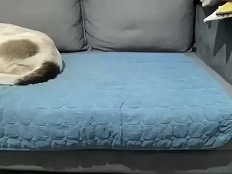 4small4inchlol online show from 02/25/25, 05:47