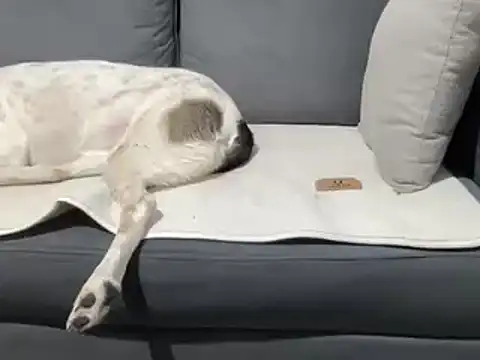 4small4inchlol online show from 03/20/25, 07:35