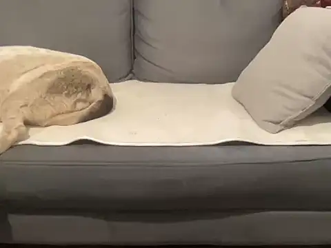 4small4inchlol online show from 09/17/25, 09:00