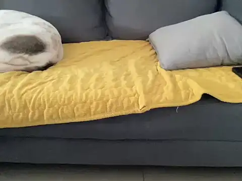 4small4inchlol online show from 10/13/25, 10:48