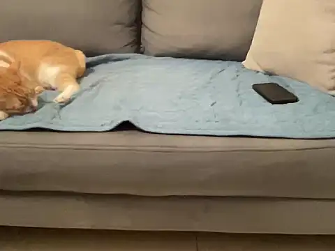 4small4inchlol online show from 11/14/25, 03:55