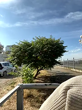 SandraCarter online show from 09/18/25, 06:04