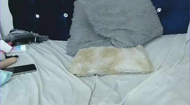 chicago 28 online show from 01/25/25, 11:02