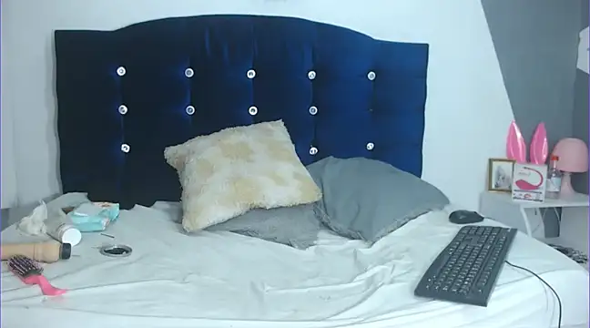 chicago 28 online show from 01/29/25, 08:51