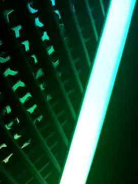 Snapshot of PerfectAhinsa chatting on 09/20/25, 05:58 PerfectAhinsa online show from 09/20/25, 05:58