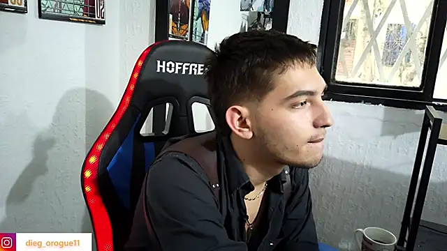 Snapshot of DiegoRogue_ chatting on 03/12/25, 10:07 DiegoRogue online show from 03/12/25, 10:07