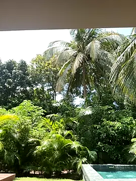 Snapshot of Olivia_Collins1 chatting on 09/16/25, 04:52 Olivia Collins1 online show from 09/16/25, 04:52