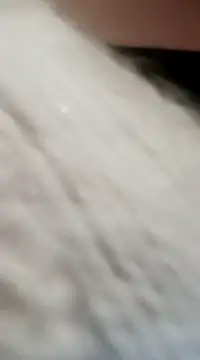 Snapshot of JAWHARA_ chatting on 12/15/24, 08:04 JAWHARA online show from 12/15/24, 08:04