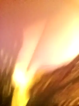 Snapshot of JAWHARA_ chatting on 12/14/25, 10:03 JAWHARA online show from 12/14/25, 10:03