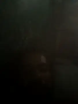 taylorWiiz online show from 10/16/25, 05:36