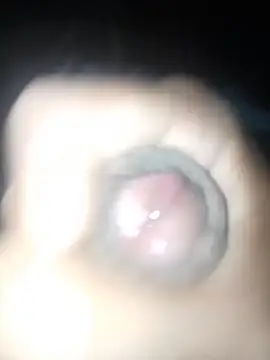 taylorWiiz online show from 10/22/25, 04:57