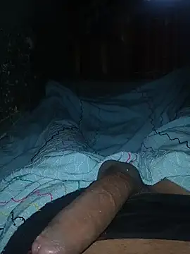 taylorWiiz online show from 11/27/25, 01:57