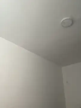 Arilw online show from 11/21/25, 02:05