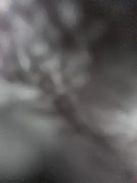 Snapshot of hungarian_dick chatting on 01/31/25, 09:37 hungarian dick online show from 01/31/25, 09:37