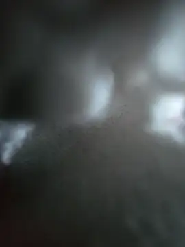 Snapshot of hungarian_dick chatting on 10/19/25, 10:38 hungarian dick online show from 10/19/25, 10:38