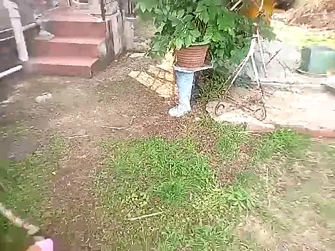 bustybillies online show from 10/11/25, 03:54