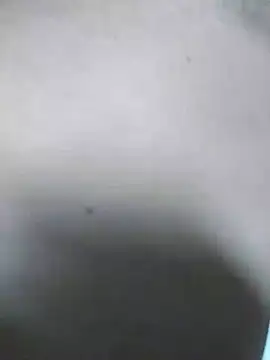 QcMisterv13 online show from 07/31/26, 10:14