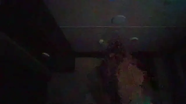 Snapshot of Cobra500hp chatting on 02/11/26, 03:44 Cobra500hp online show from 02/11/26, 03:44