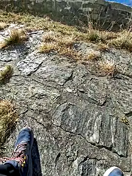 tony7567 online show from 11/27/25, 12:51