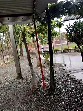 Snapshot of BeetledFlouter12 chatting on 09/26/25, 07:07 BeetledFlouter12 online show from 09/26/25, 07:07