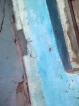 Snapshot of Natasha-In69 chatting on 12/15/25, 08:46 Natasha-In69 online show from 12/15/25, 08:46