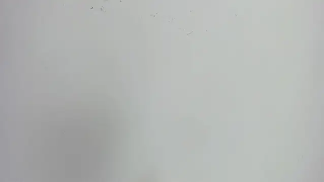 missexy303av online show from 09/24/25, 08:56