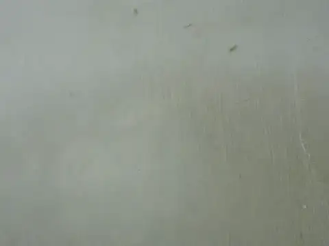 dickrus0077 online show from 02/25/25, 05:25